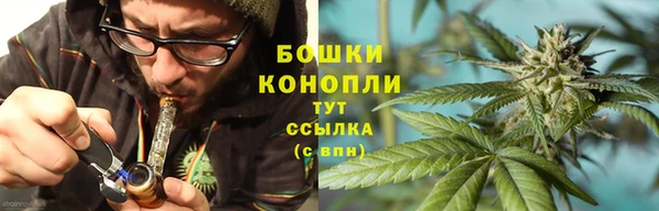 прущие грибы Абдулино
