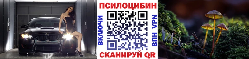 Псилоцибиновые грибы MAGIC MUSHROOMS  купить  сайты  Тюкалинск 